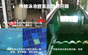 传统泳池